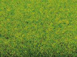 Noch - Static Grass Mat - Spring Meadow (300 x 100cm) - N00020