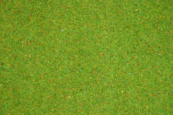 Noch - Static Grass Mat - Flowered Grass (120cm x 60cm) - N00270