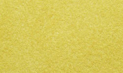 N07083 - Noch - Wild Grass - Golden Yellow - 6mm (50g)