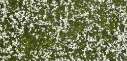 Noch White Meadow Groundcover Foliage (12x18cm) - N07256