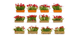 Noch Flower Boxes Blossoming Red - N14010