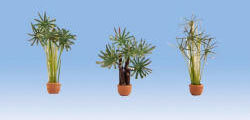 N14024 - Noch - Ornamental Plants - Palms