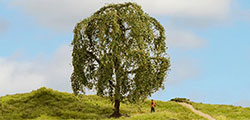 Noch Weeping Willow Master Tree 15cm - N20115