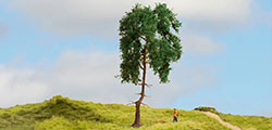 Noch Pine Master Tree 15cm - N20140