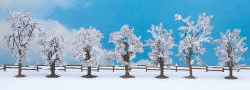Noch - Winter Trees (7) - N25075
